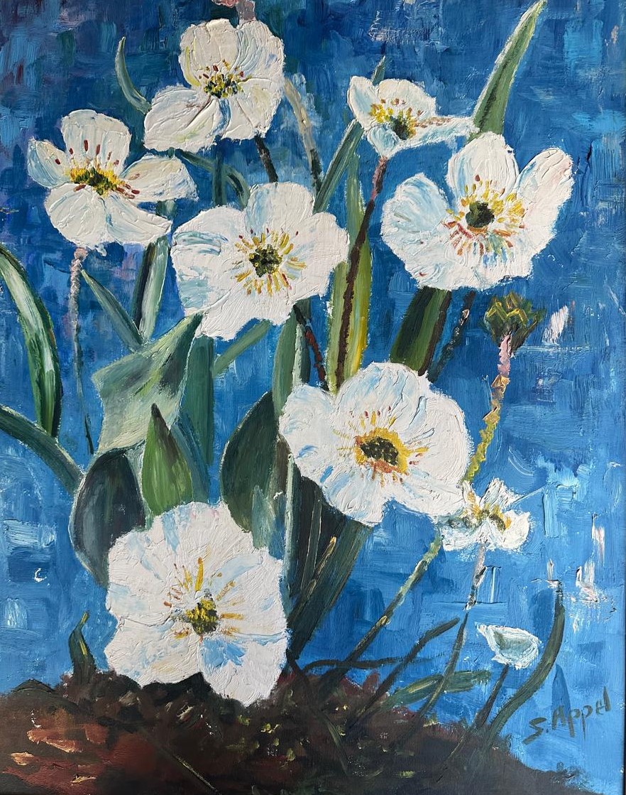O Florir da Memória
